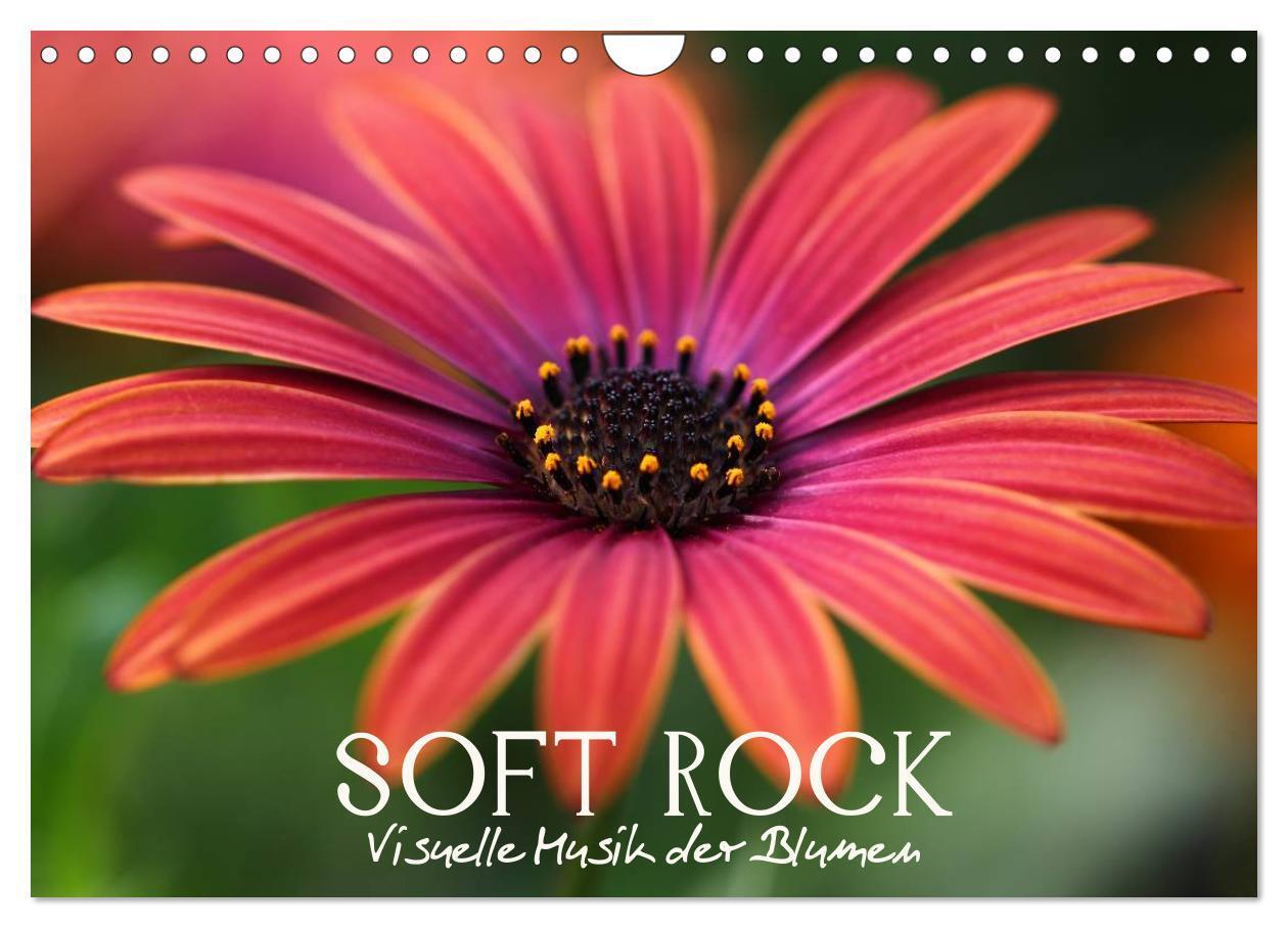 Cover: 9783383448645 | Soft Rock - Visuelle Musik der Blumen (Wandkalender 2024 DIN A4...