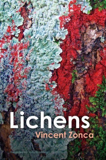 Cover: 9781509553457 | Lichens | Toward a Minimal Resistance | Vincent Zonca | Taschenbuch