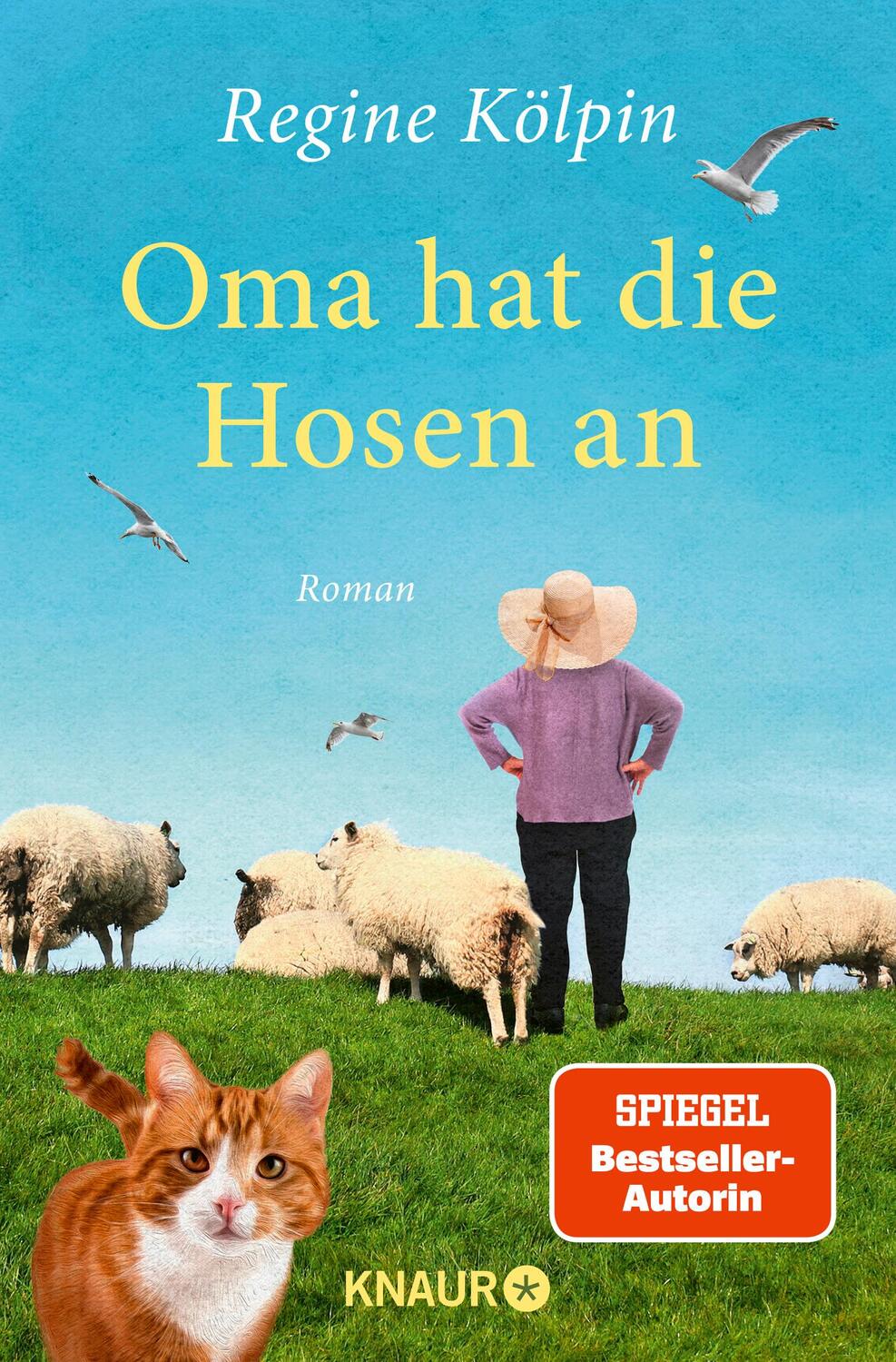 Cover: 9783426528860 | Oma hat die Hosen an | Roman | Regine Kölpin | Taschenbuch | 288 S.