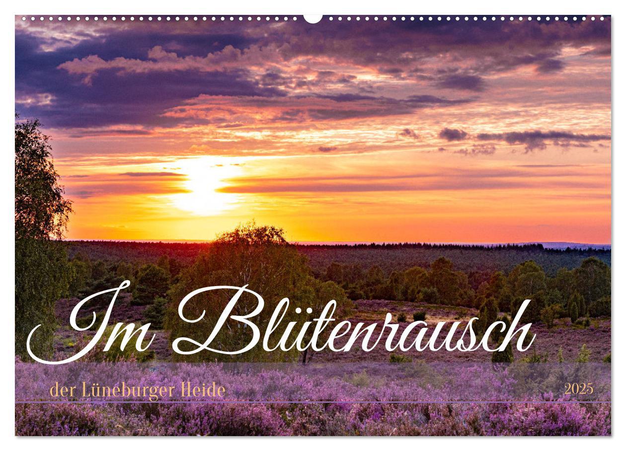 Cover: 9783383831324 | Im Blütenrausch der Lüneburger Heide (Wandkalender 2025 DIN A2...