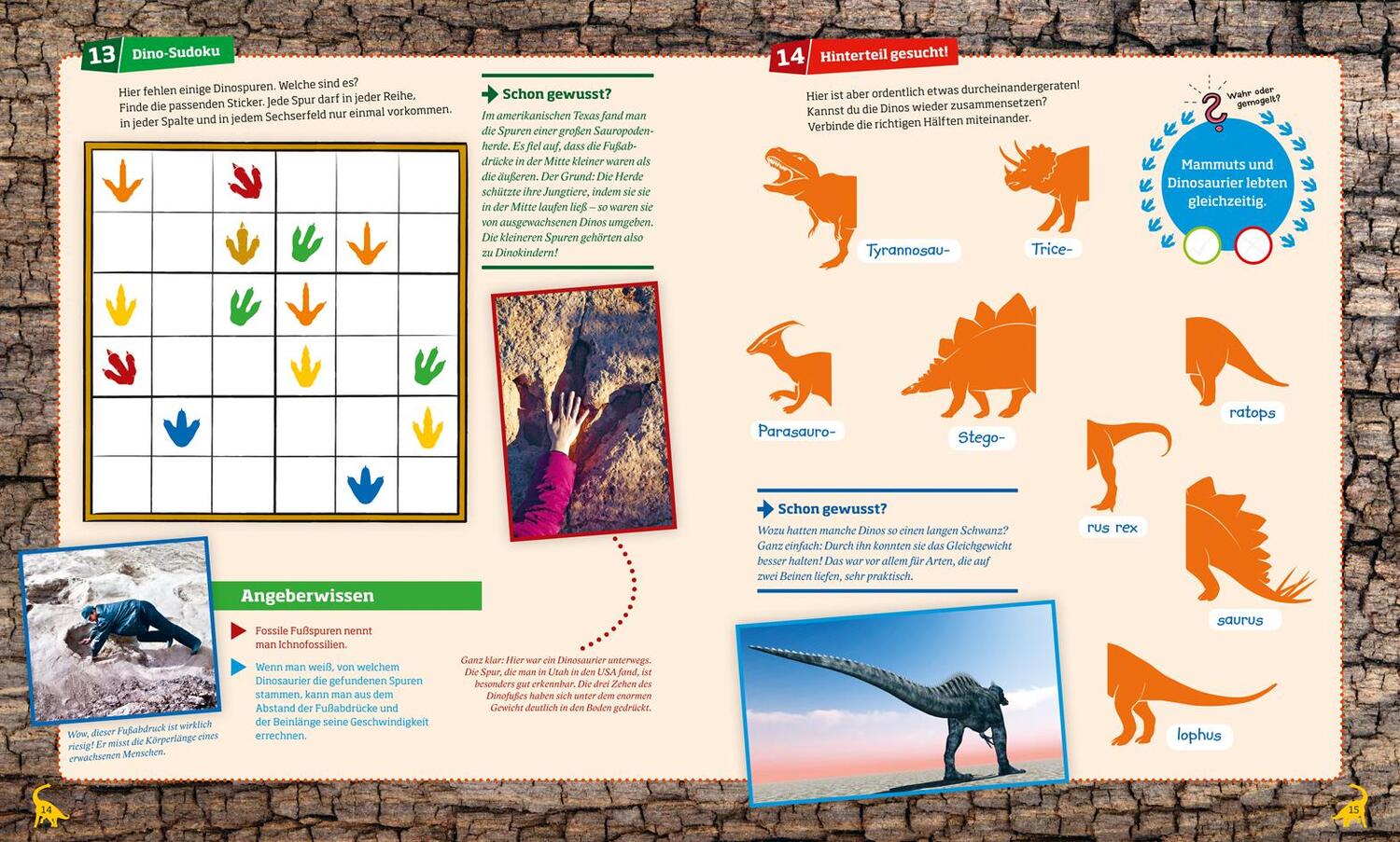 Bild: 9783788621643 | Rätseln und Stickern: Dinosaurier | Lisa Hebler | Taschenbuch | 24 S.