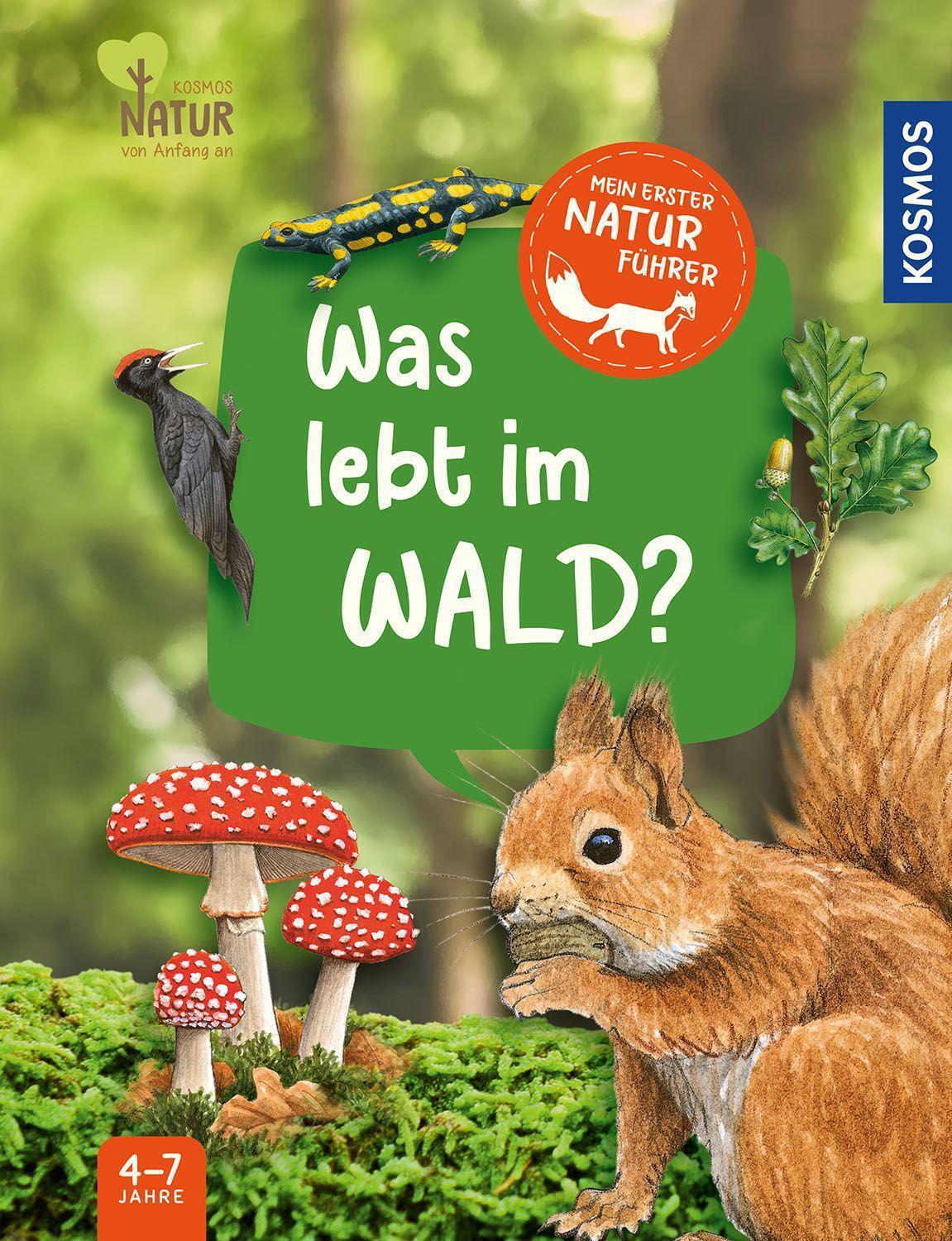 Cover: 9783440178072 | Mein erster Naturführer, Was lebt im Wald? | Julia Hiller | Buch