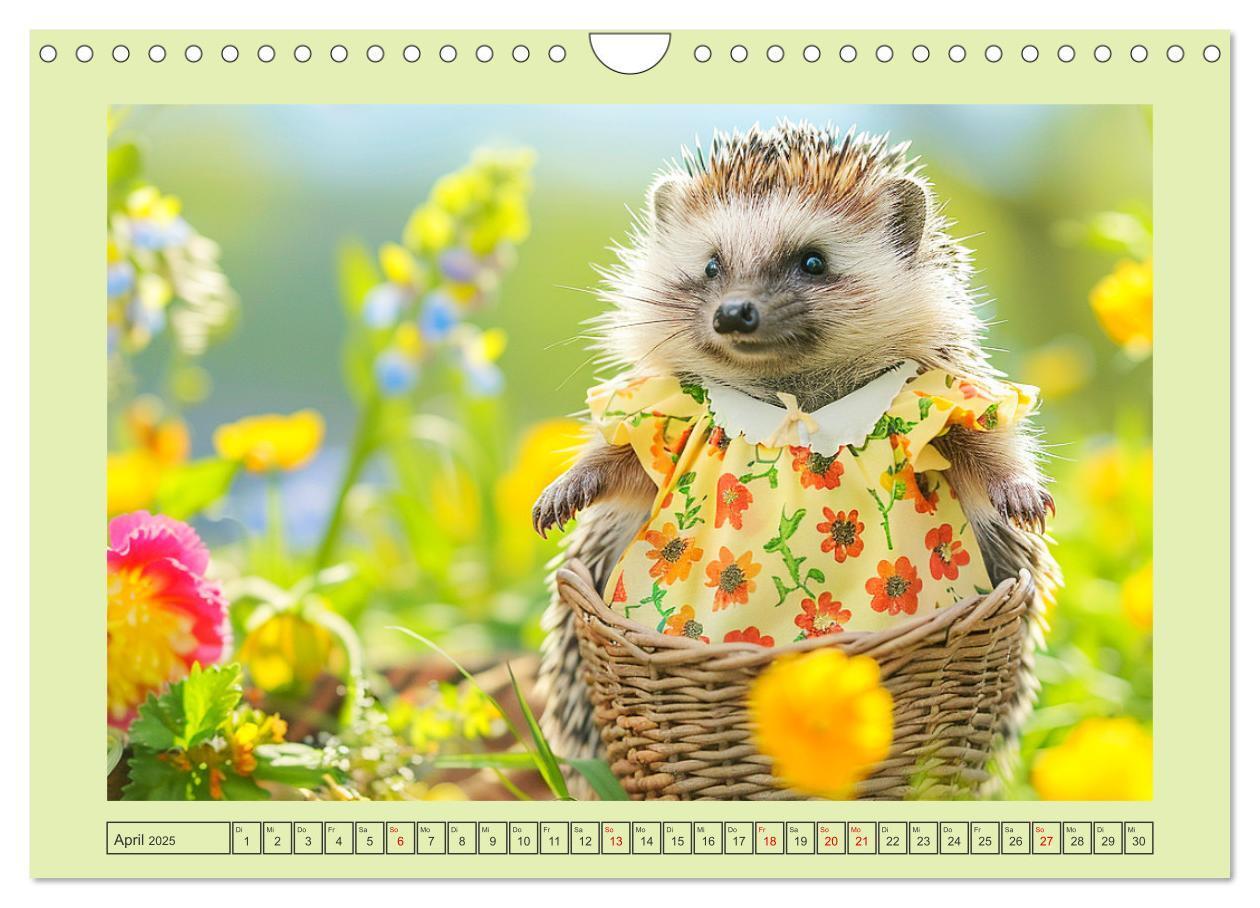 Bild: 9783435639939 | Zauberhafte Igel-Models. Blumiger Stil in der Natur (Wandkalender...