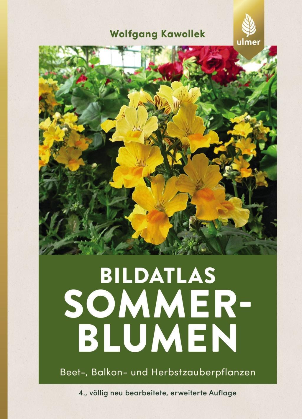 Cover: 9783818601171 | Bildatlas Sommerblumen | Beet-, Balkon- und Herbstzauberpflanzen