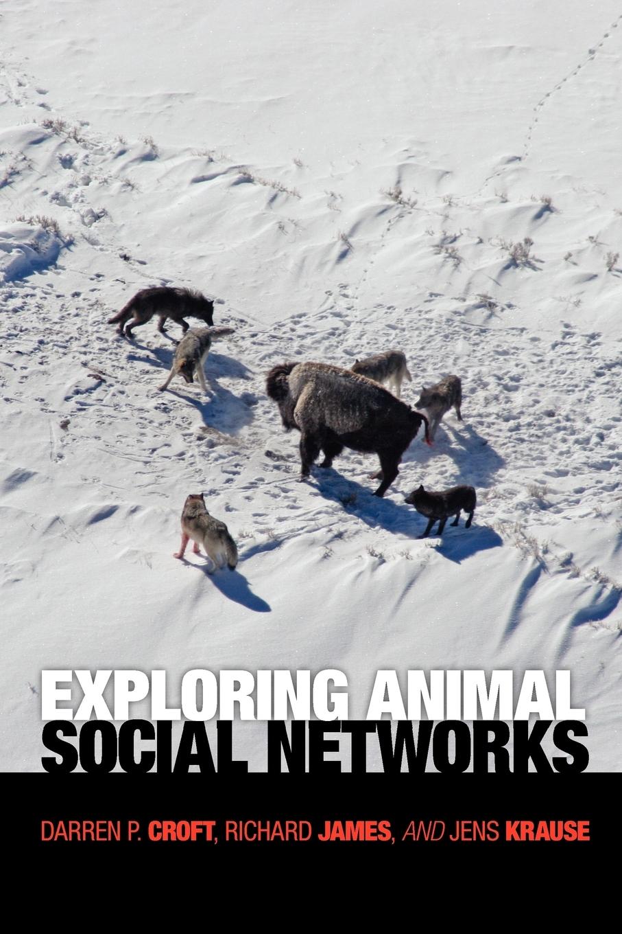 Cover: 9780691127521 | Exploring Animal Social Networks | Darren P. Croft (u. a.) | Buch