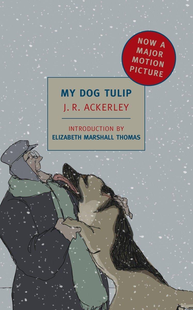 Cover: 9781590174142 | My Dog Tulip | Elizabeth Marshall Thomas (u. a.) | Taschenbuch | 2010