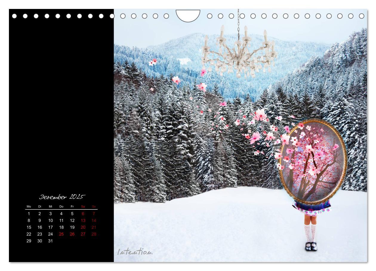 Bild: 9783435269105 | Schwarzwald. Nochmal Anders. (Wandkalender 2025 DIN A4 quer),...