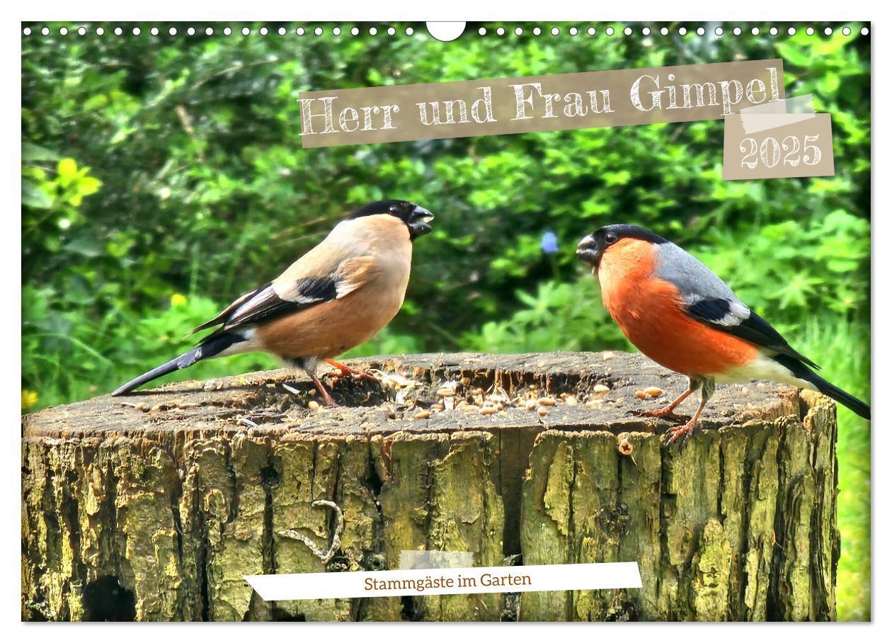 Cover: 9783457160305 | Herr und Frau Gimpel - Stammgäste im Garten (Wandkalender 2025 DIN...