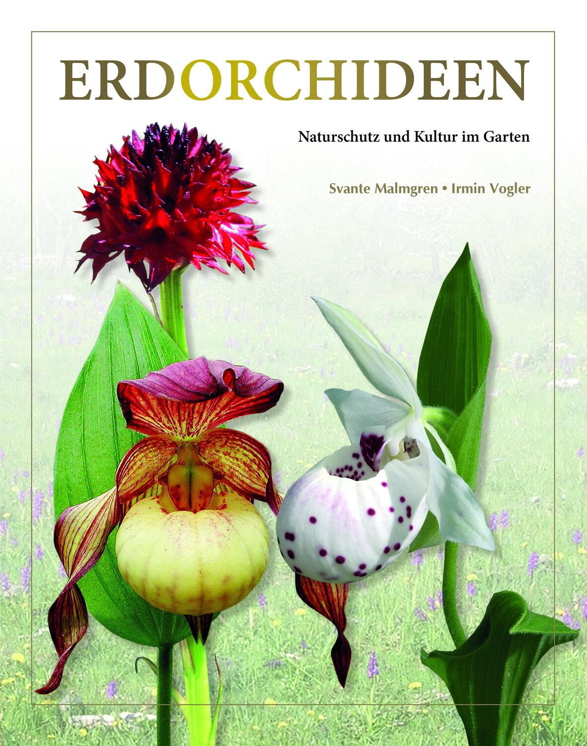 Cover: 9783866594142 | Erdorchideen | Naturschutz und Kultur im Garten | Malmgren (u. a.)