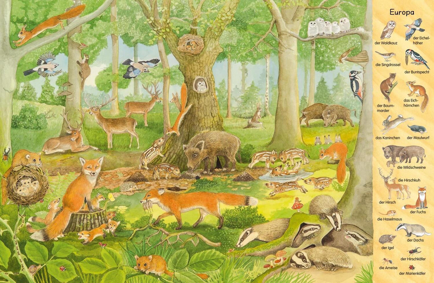 Bild: 9783480232314 | Mein erstes Wimmelbuch: Tiere aus aller Welt | Buch | 16 S. | Deutsch