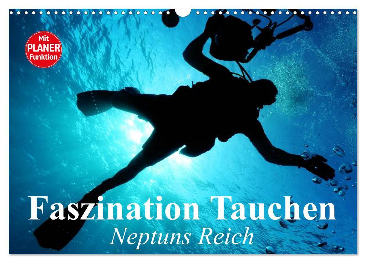 Cover: 9783383313547 | Faszination Tauchen. Neptuns Reich (Wandkalender 2024 DIN A3 quer),...