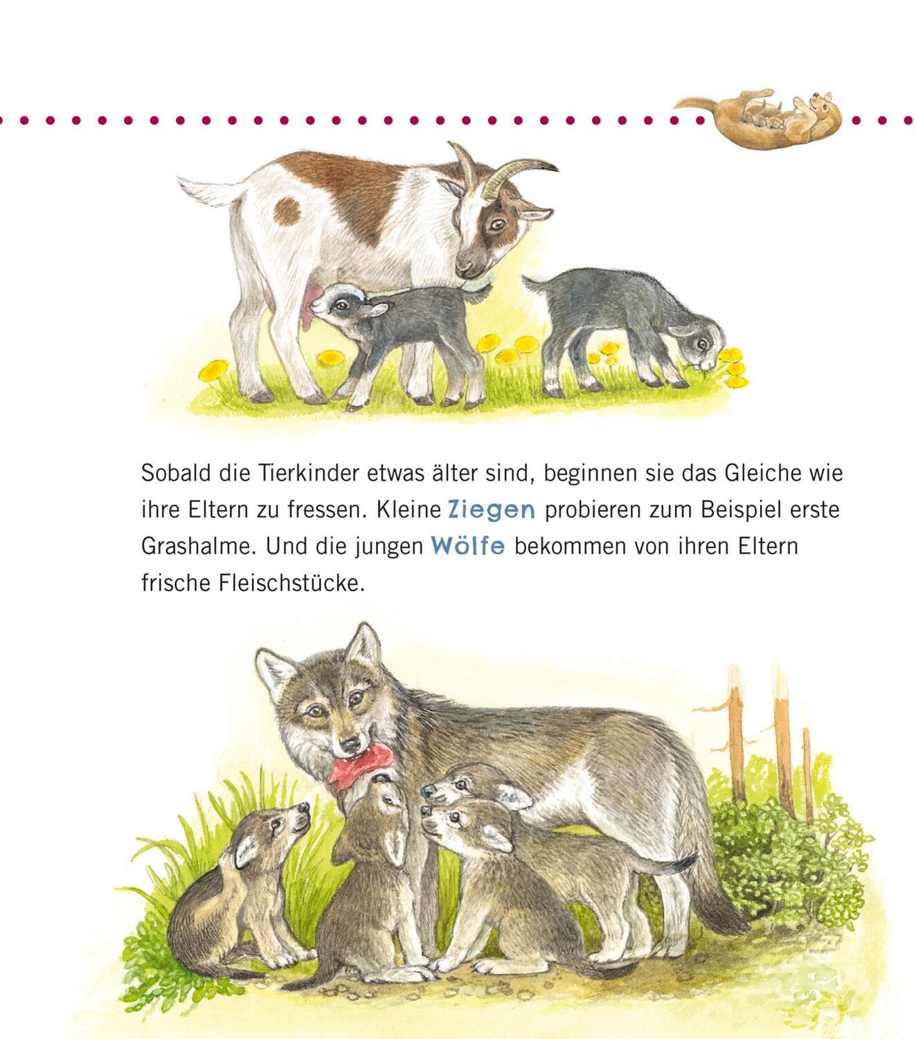 Bild: 9783551036056 | Unkaputtbar: Erstes Wissen: Tiere und ihre Kinder | Petra Klose | Buch