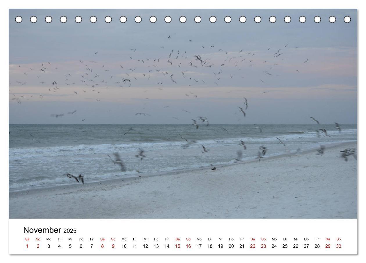 Bild: 9783435374564 | Möwen am Meer (Tischkalender 2025 DIN A5 quer), CALVENDO...