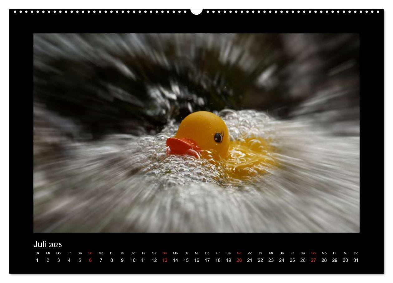 Bild: 9783435691555 | Enten-Rennen (Wandkalender 2025 DIN A2 quer), CALVENDO Monatskalender