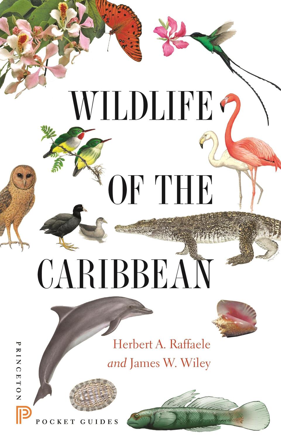 Cover: 9780691153827 | Wildlife of the Caribbean | Herbert A Raffaele (u. a.) | Taschenbuch