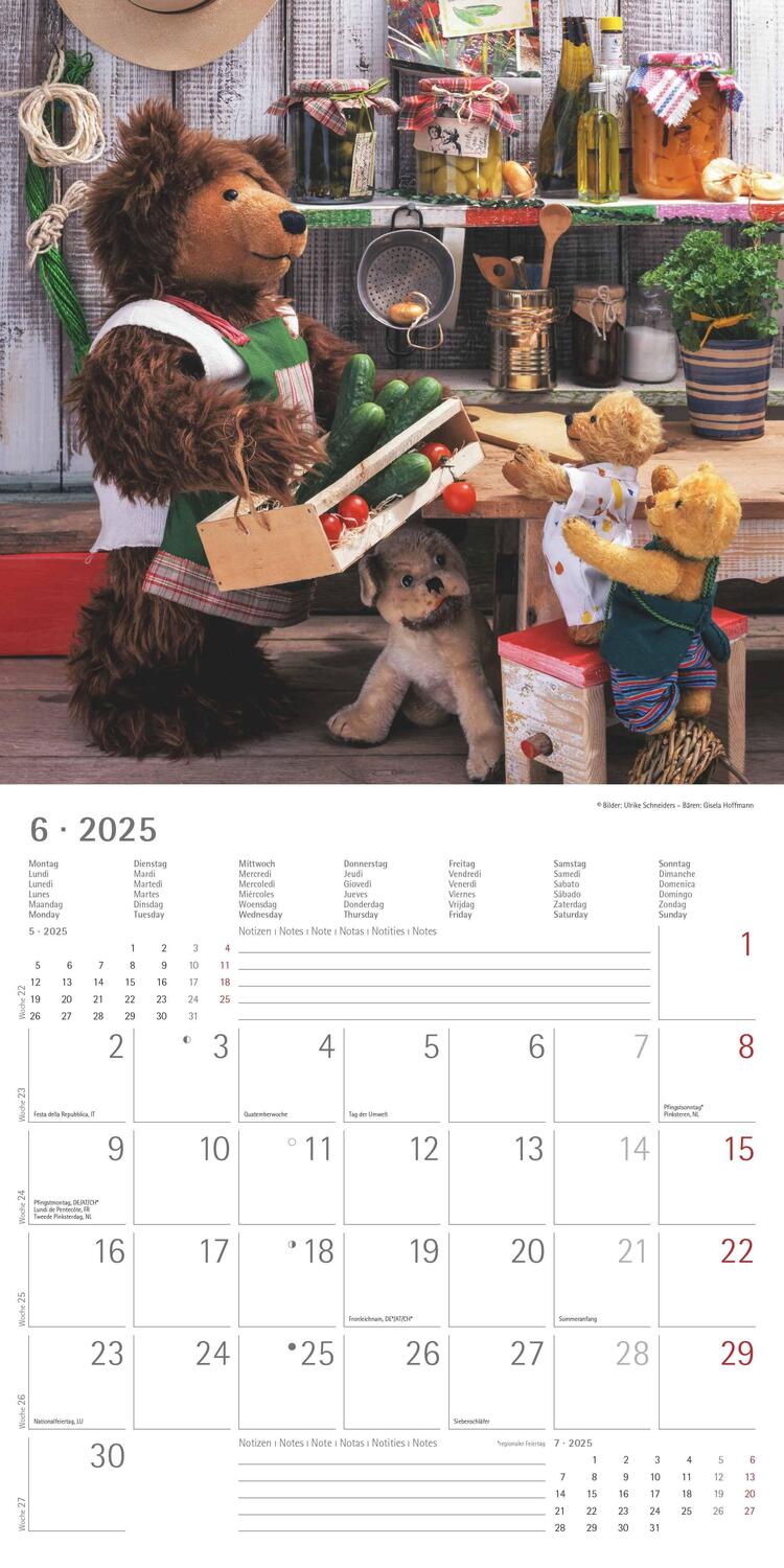 Bild: 4251732340643 | Teddy 2025 - Broschürenkalender 30x30 cm (30x60 geöffnet) -...