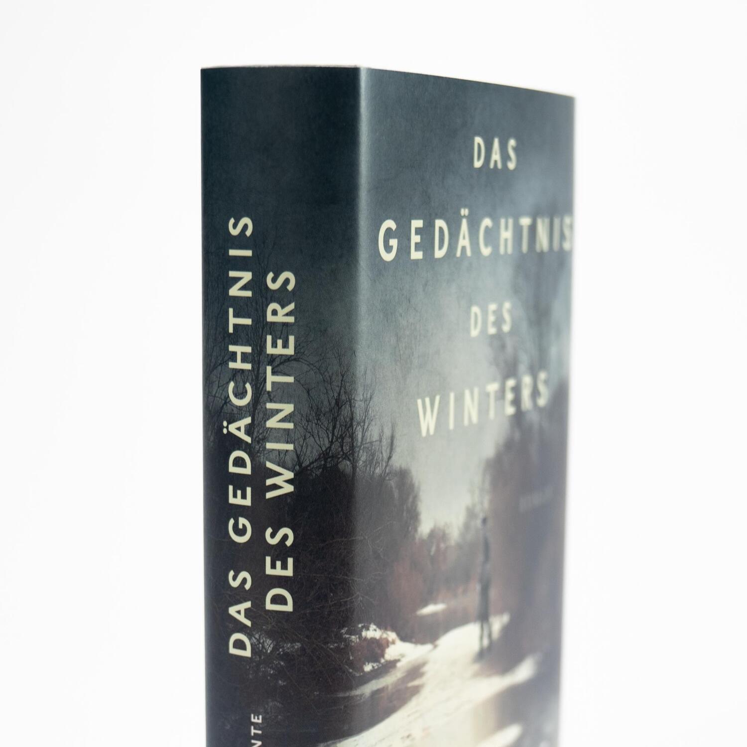 Bild: 9783365001004 | Das Gedächtnis des Winters | Roman | Steven Conte | Buch | 448 S.