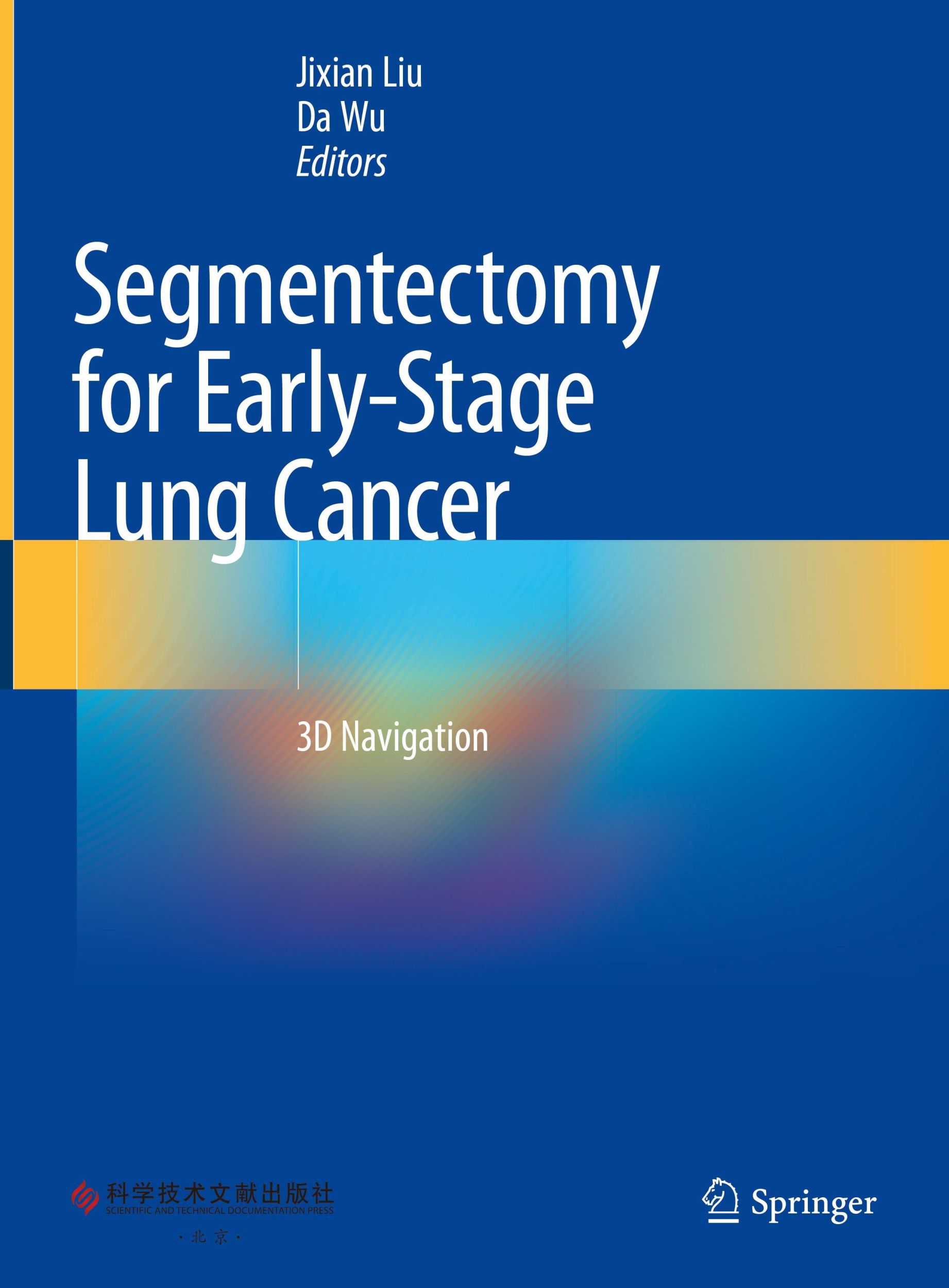 Cover: 9789819901425 | Segmentectomy for Early-Stage Lung Cancer | 3D Navigation | Wu (u. a.)