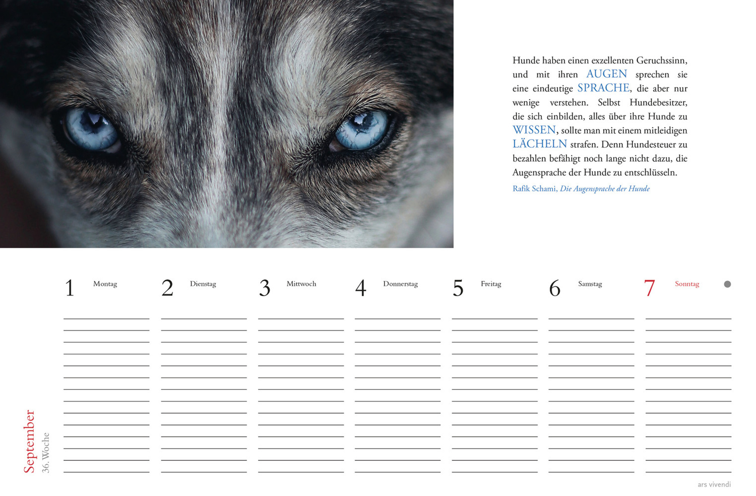 Bild: 9783747205709 | Tischkalender Hunde 2025 | Tischkalender | Kalender | 53 S. | Deutsch