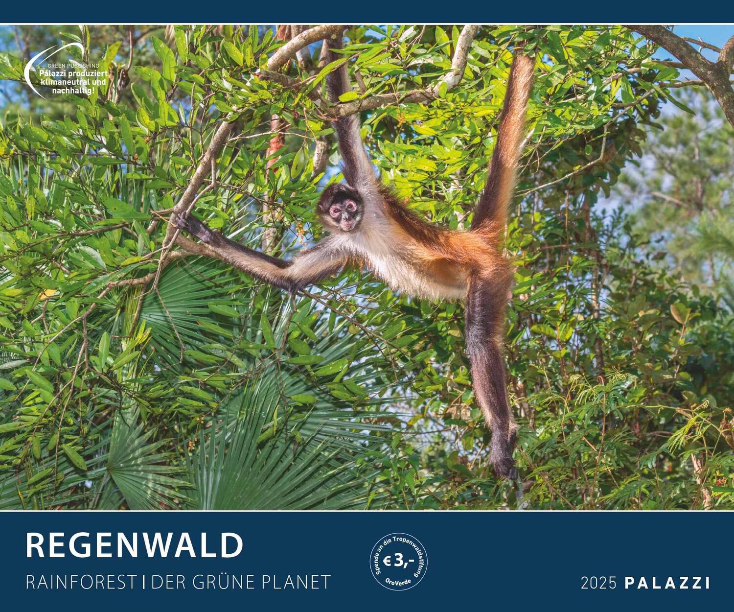 Cover: 4251734300768 | Regenwald 2025 - Bild-Kalender - Poster-Kalender - 60x50 | Rainforest