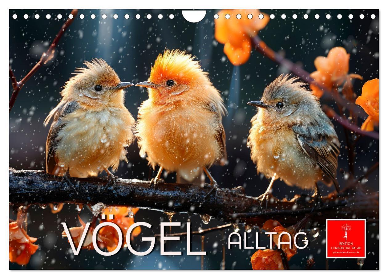 Cover: 9783383746178 | Vögel Alltag (Wandkalender 2024 DIN A4 quer), CALVENDO Monatskalender