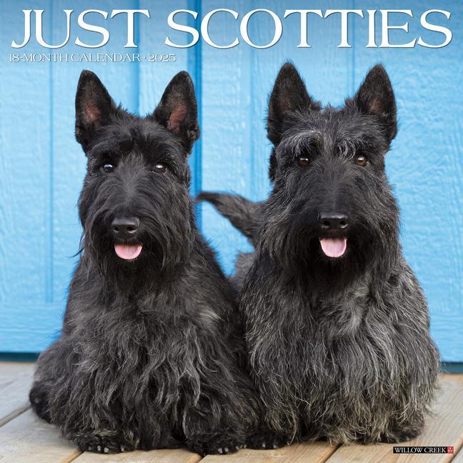 Cover: 9781549244773 | Just Scotties 2025 12 X 12 Wall Calendar | Willow Creek Press | 2025