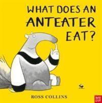 Cover: 9781788005357 | What Does An Anteater Eat? | Ross Collins | Taschenbuch | Ross Collins