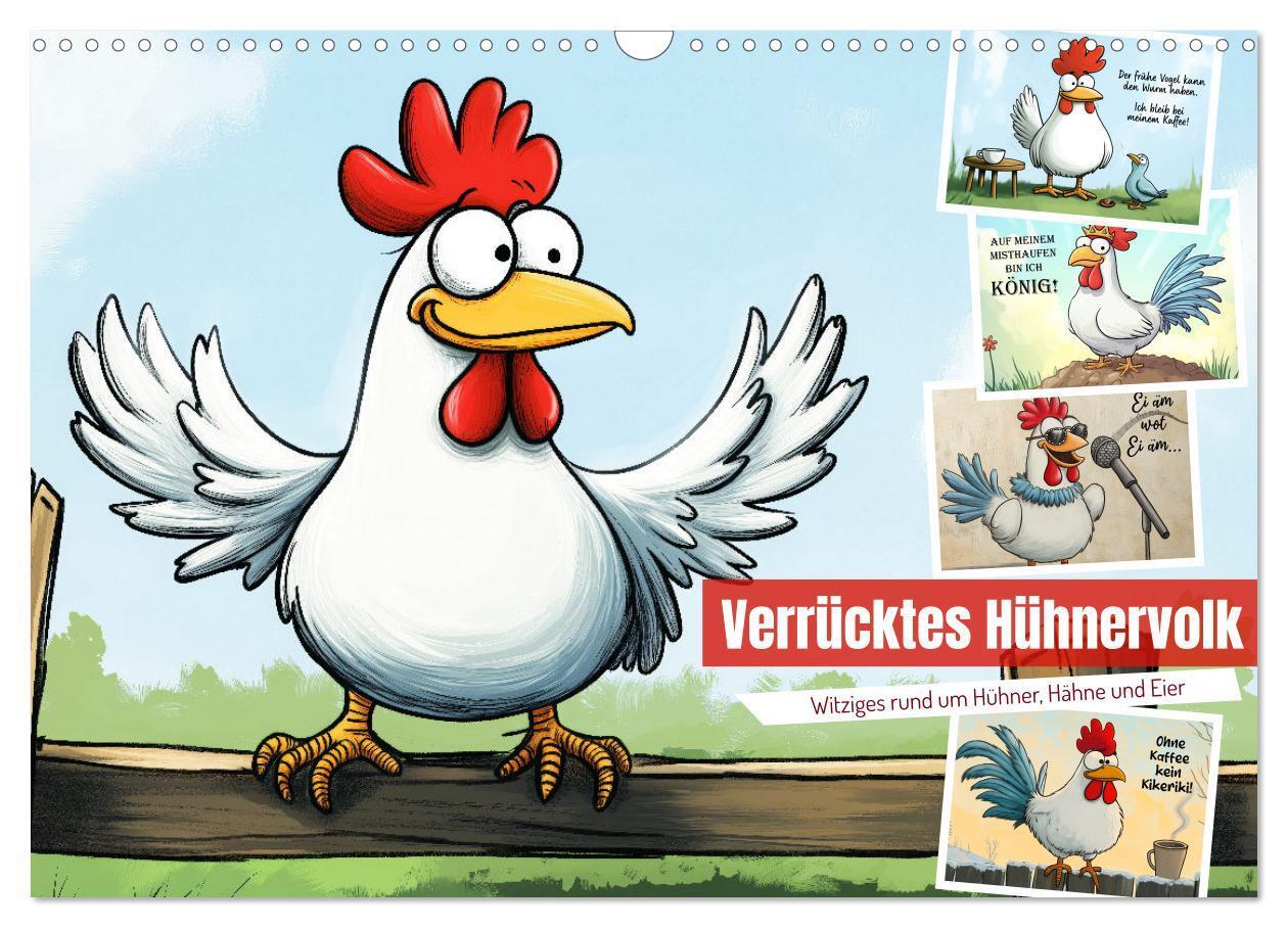 Cover: 9783457190272 | Verrücktes Hühnervolk (Wandkalender 2025 DIN A3 quer), CALVENDO...