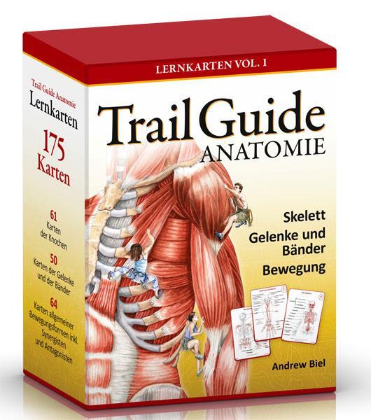 Cover: 9783868673029 | Trail Guide Anatomie | Lernkarten Vol. 1 | Andrew Biel | Deutsch