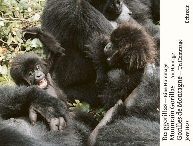 Cover: 9783905800333 | Berggorillas - Moutain Gorillas - Gorilles de Montagne | Jörg Hess