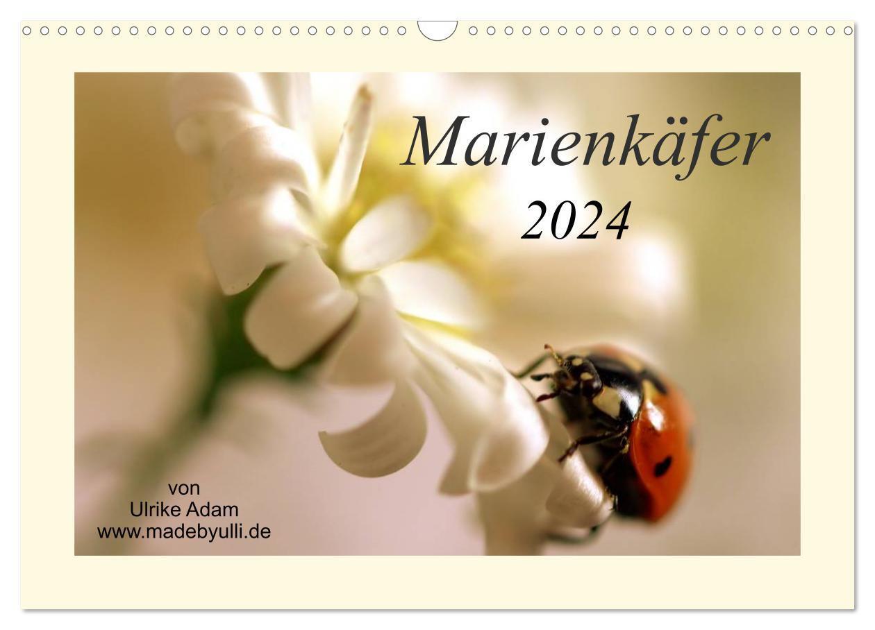 Cover: 9783383519284 | Marienkäfer / 2024 (Wandkalender 2024 DIN A3 quer), CALVENDO...