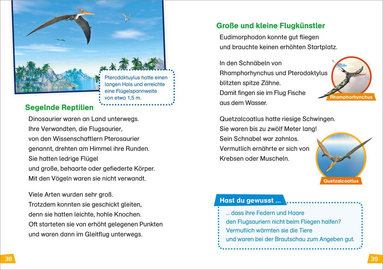 Bild: 9783788676698 | WAS IST WAS Erstes Lesen Band 13. Dinosaurier | Karin Bischoff | Buch