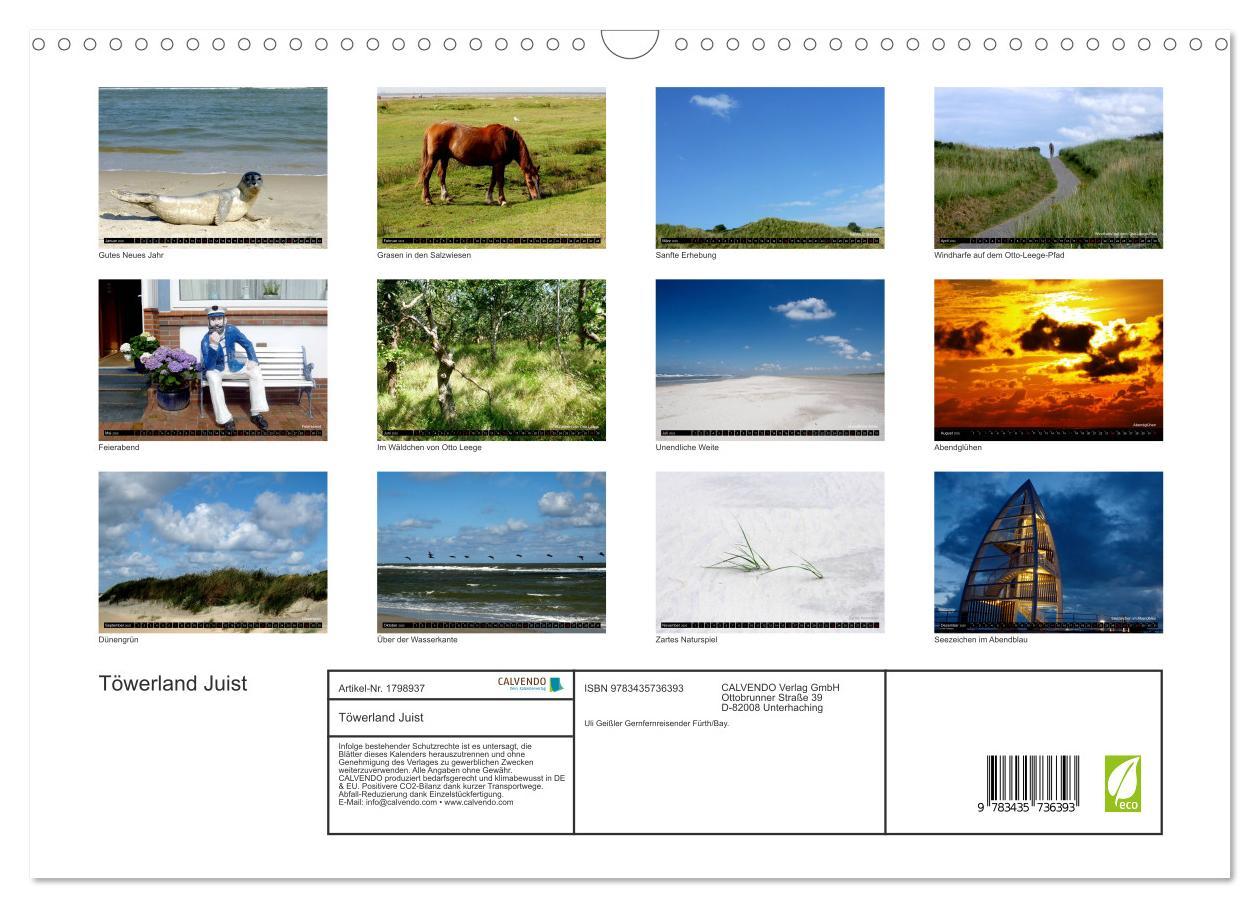 Bild: 9783435736393 | Töwerland Juist (Wandkalender 2025 DIN A3 quer), CALVENDO...