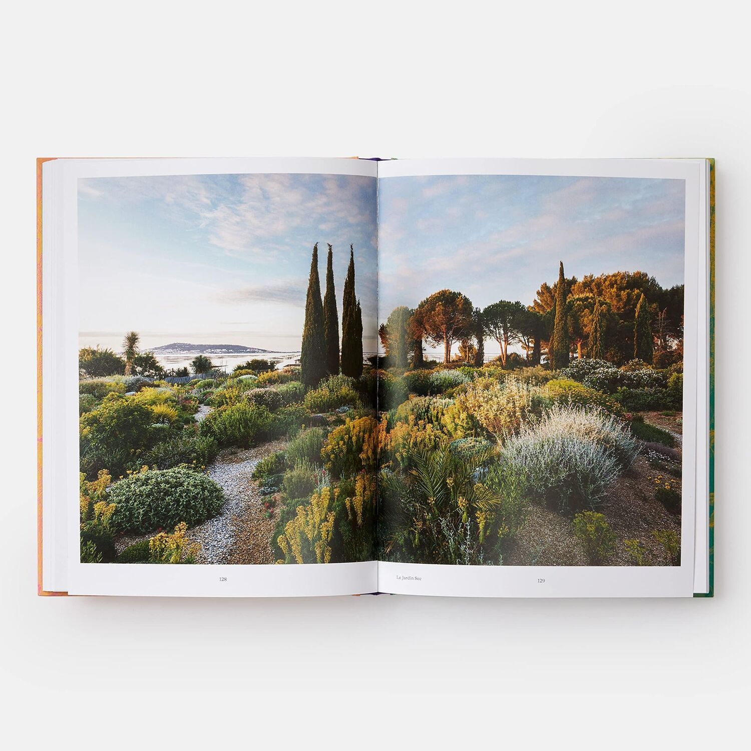 Bild: 9781838661052 | Wild | The Naturalistic Garden | Noel Kingsbury | Buch | 320 S. | 2022