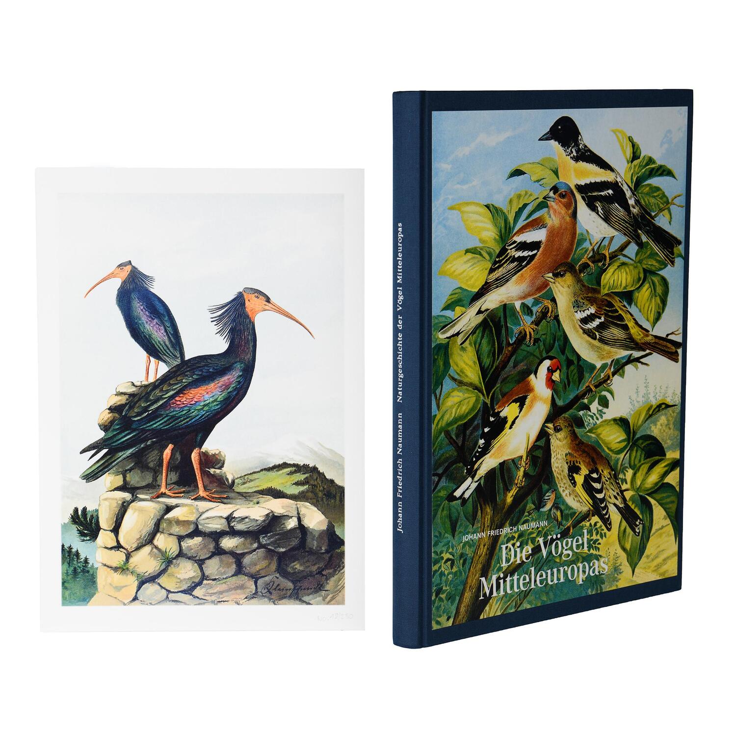 Cover: 9783968490090 | Johann Friedrich Naumann - Die Vögel Mitteleuropas | Naumann | Buch