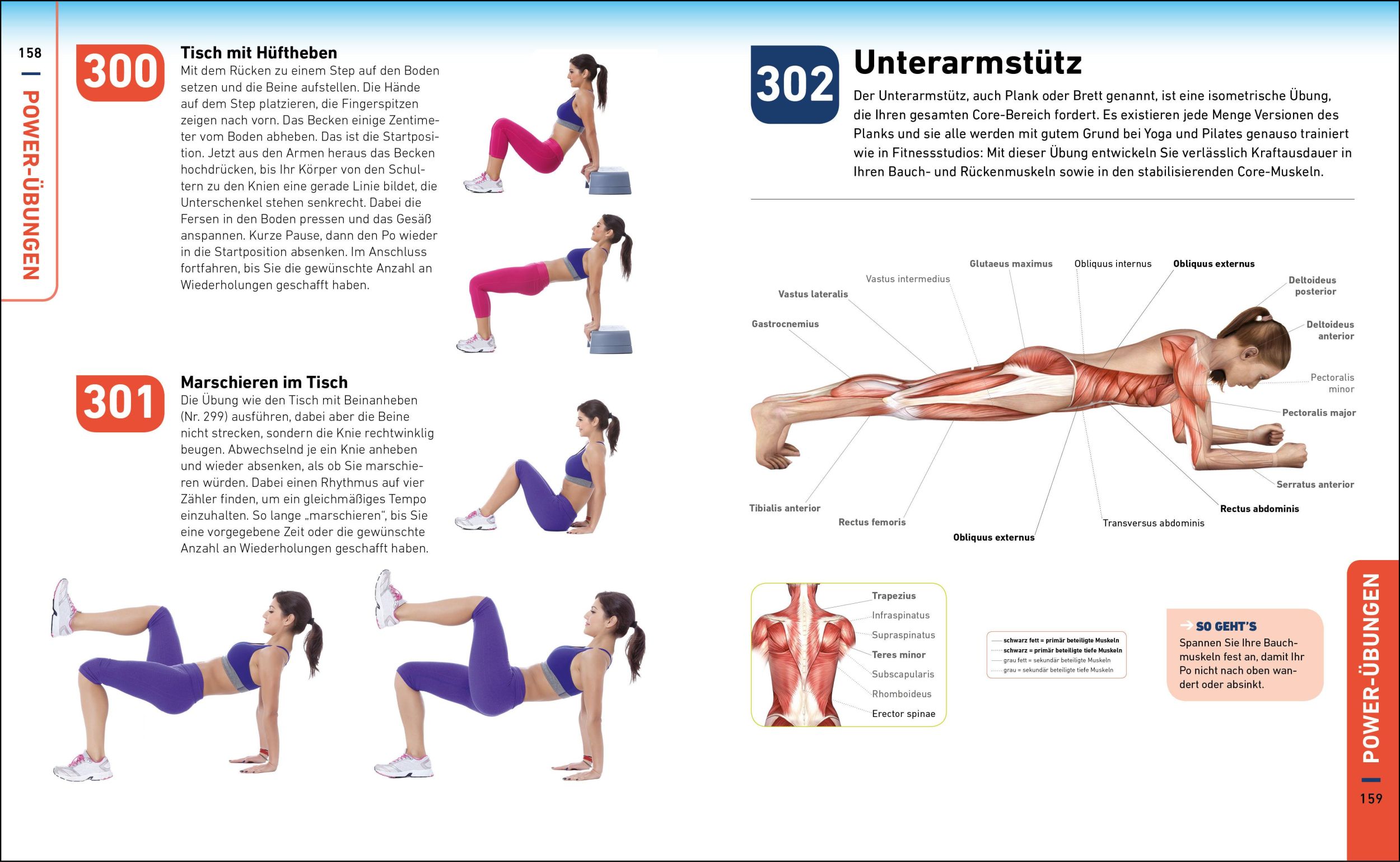 Bild: 9783517096292 | Die H.I.T.-Bibel | 500 hochintensive Übungen für Ihr Power-Workout