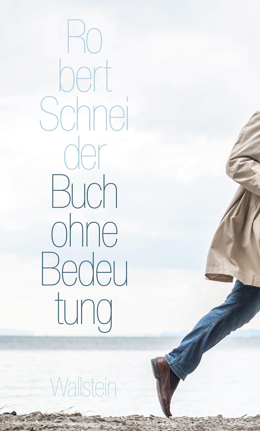 Cover: 9783835351950 | Buch ohne Bedeutung | Robert Schneider | Buch | 212 S. | Deutsch