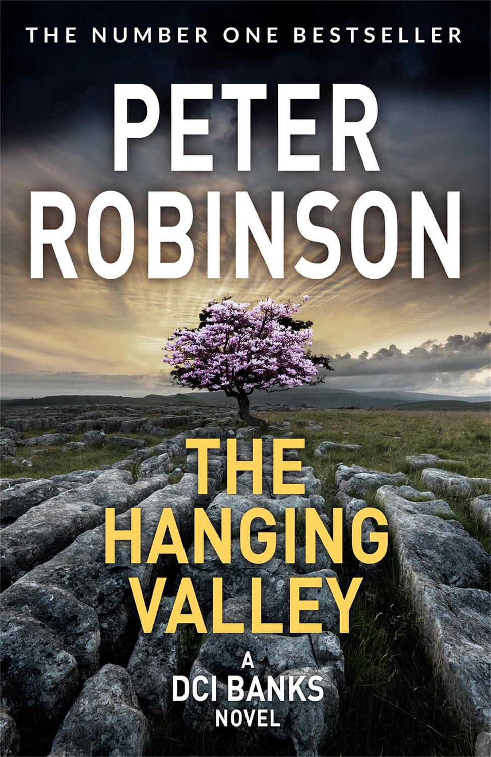 Cover: 9781509859047 | The Hanging Valley | Peter Robinson | Taschenbuch | Englisch | 2018