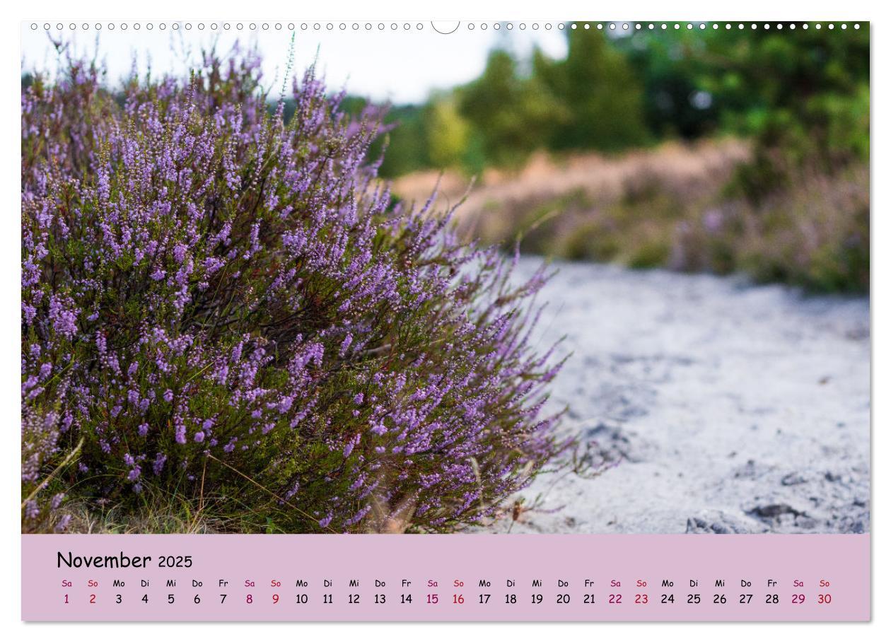 Bild: 9783435024810 | Lüneburger Heide Wege (hochwertiger Premium Wandkalender 2025 DIN...