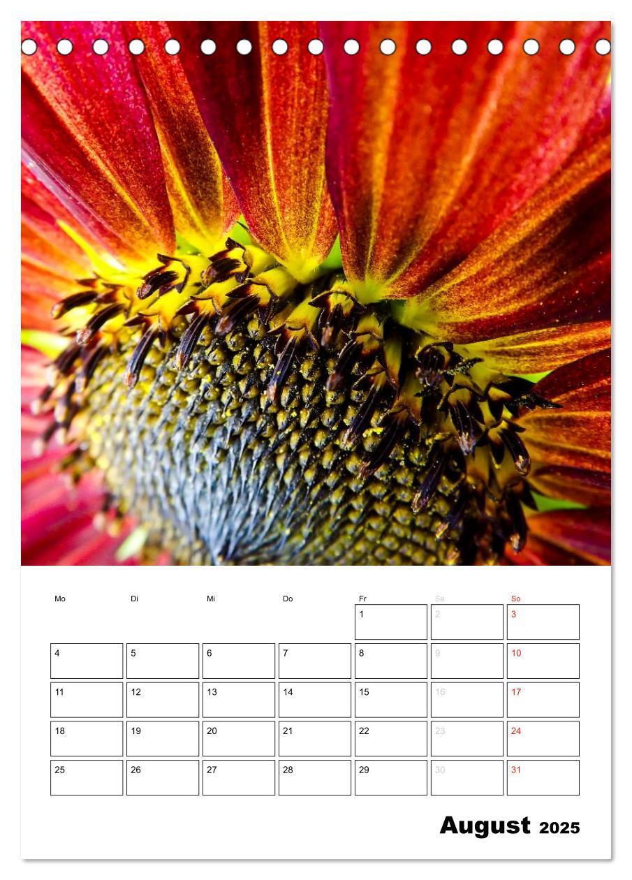 Bild: 9783435996476 | Strahlende Sonnenblumen (Tischkalender 2025 DIN A5 hoch), CALVENDO...