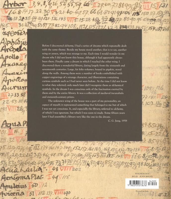 Rückseite: 9780393073676 | C. G. Jung: A Biography in Books | Sonu Shamdasani | Buch | Englisch
