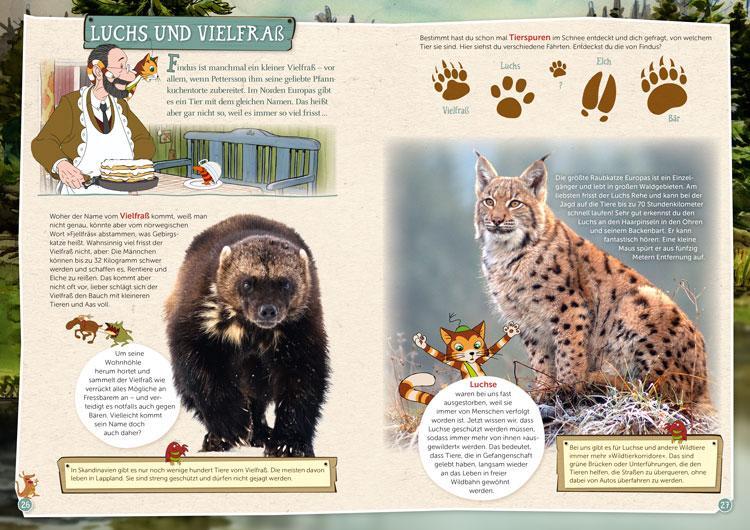 Bild: 9783961291687 | Pettersson und Findus: Tiere entdecken in Wald und Wiese | Buch | 2020