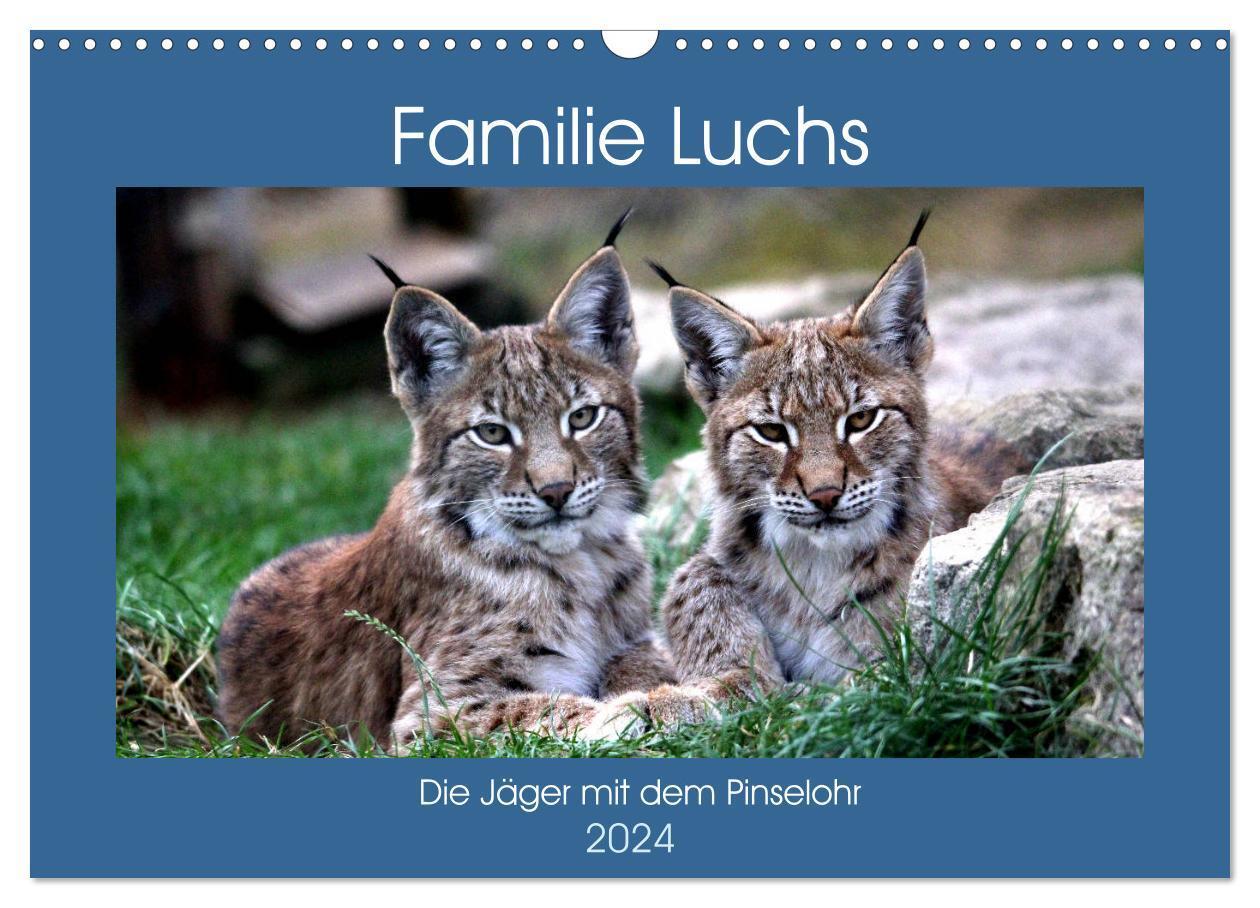 Cover: 9783383205415 | Familie Luchs - Die Jäger mit dem Pinselohr (Wandkalender 2024 DIN...