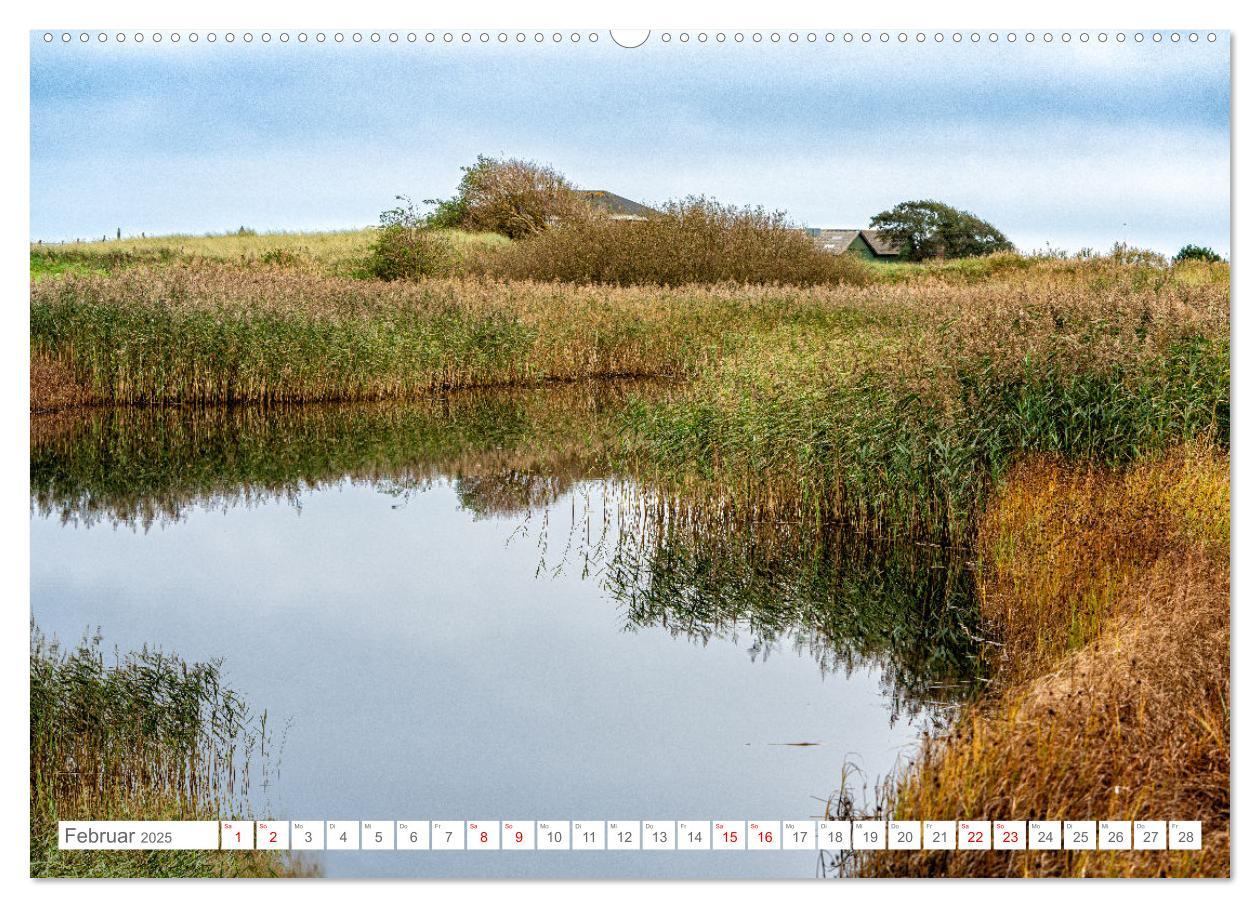 Bild: 9783383844560 | Naturerlebnis Rømø (Wandkalender 2025 DIN A2 quer), CALVENDO...