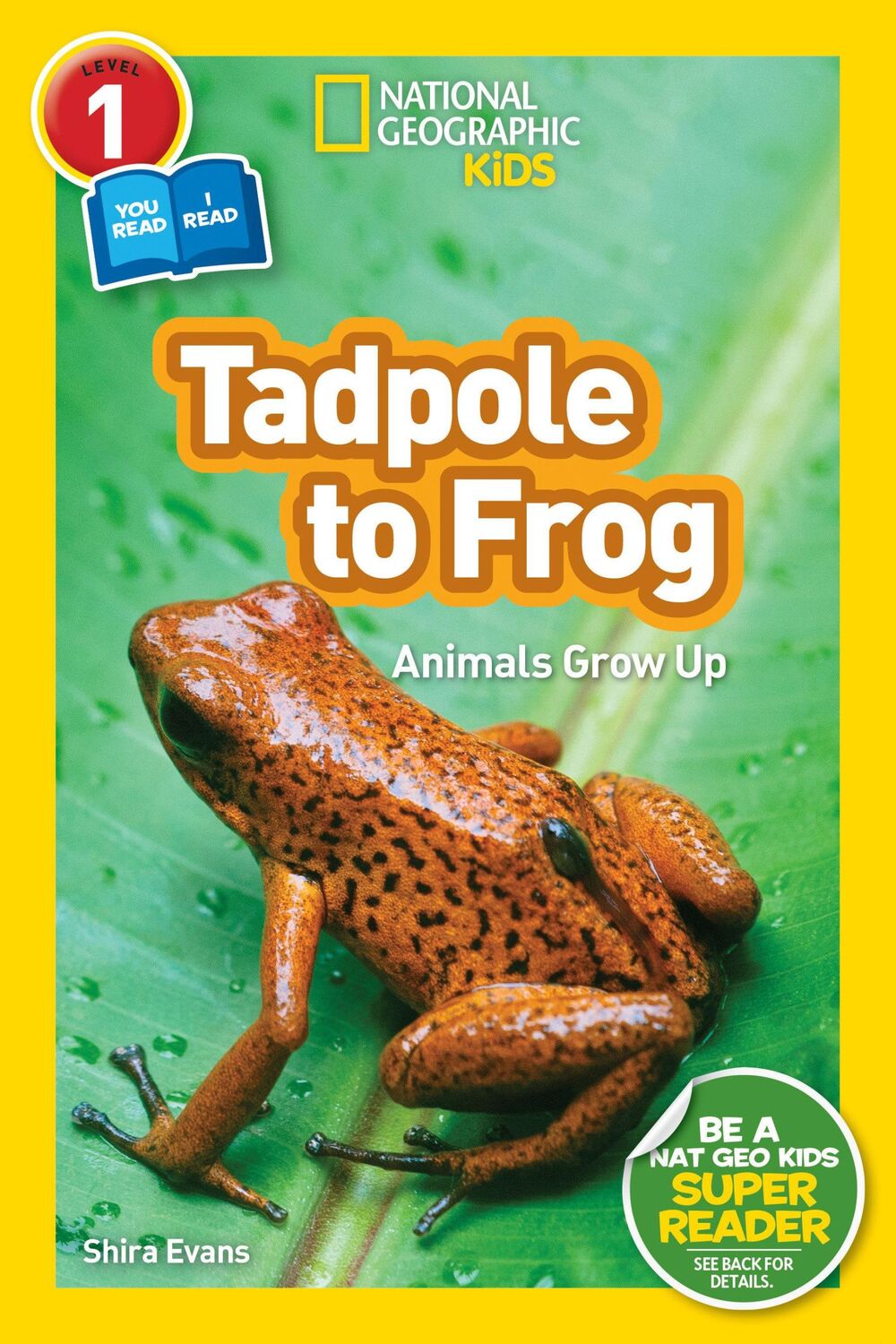 Cover: 9781426332036 | National Geographic Readers: Tadpole to Frog (L1/Coreader) | Evans