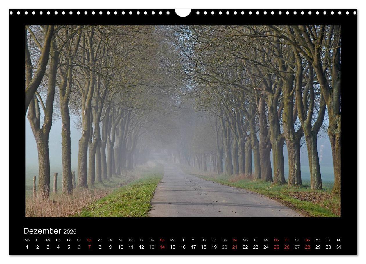 Bild: 9783435626441 | Märchenhafter Reinhardswald und Urwald Sababurg (Wandkalender 2025...