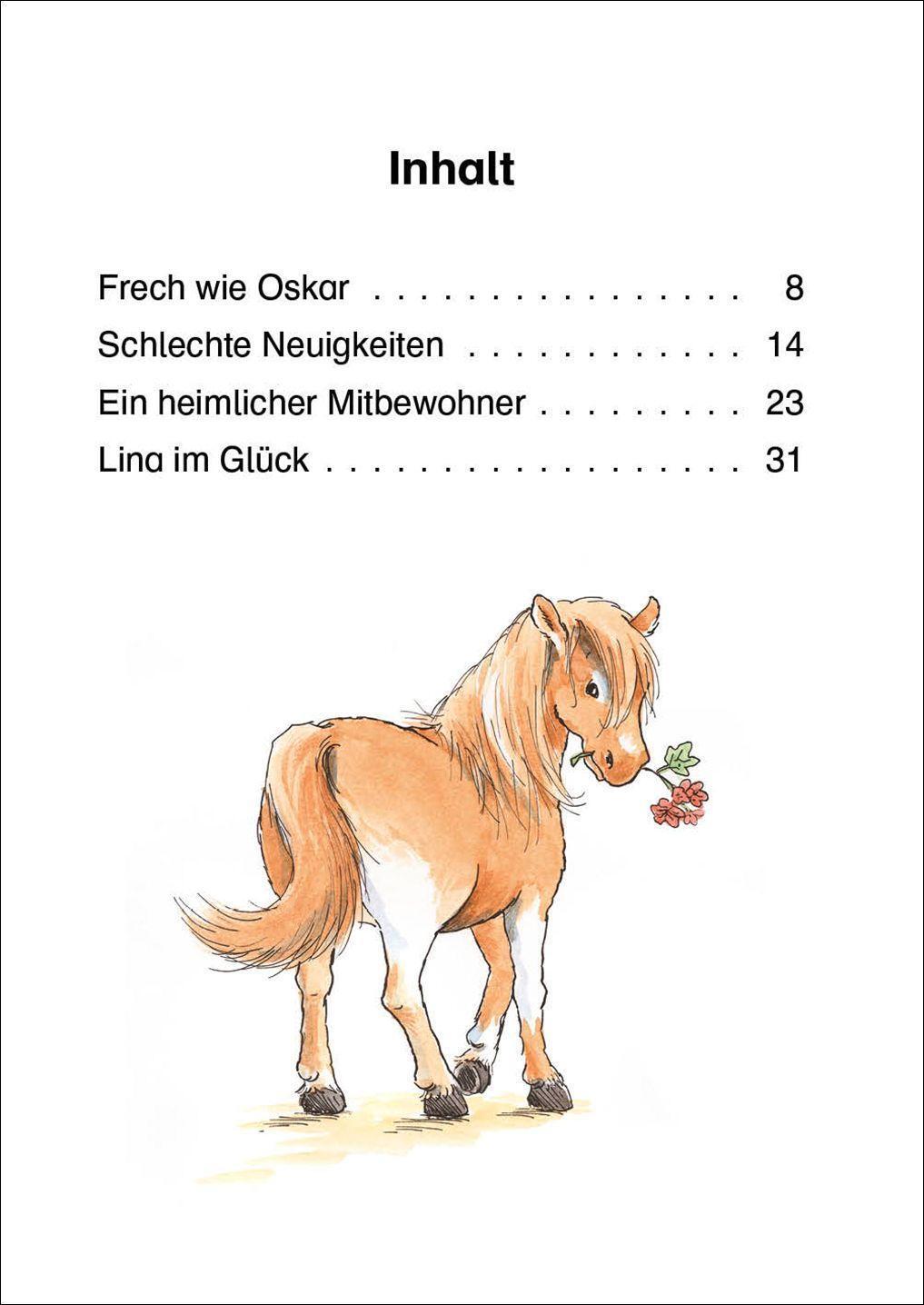 Bild: 9783743208599 | Leselöwen 1. Klasse - Das neue Pferd in der Reitschule | Eva Hierteis