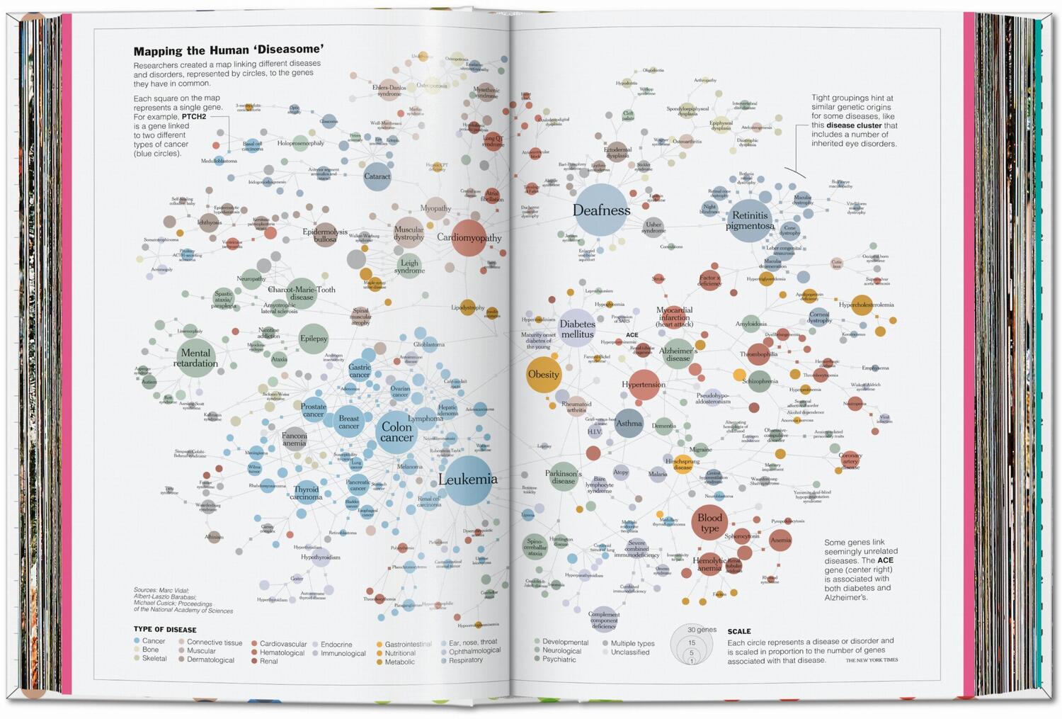 Bild: 9783836594967 | Understanding the World. The Atlas of Infographics | Sandra Rendgen