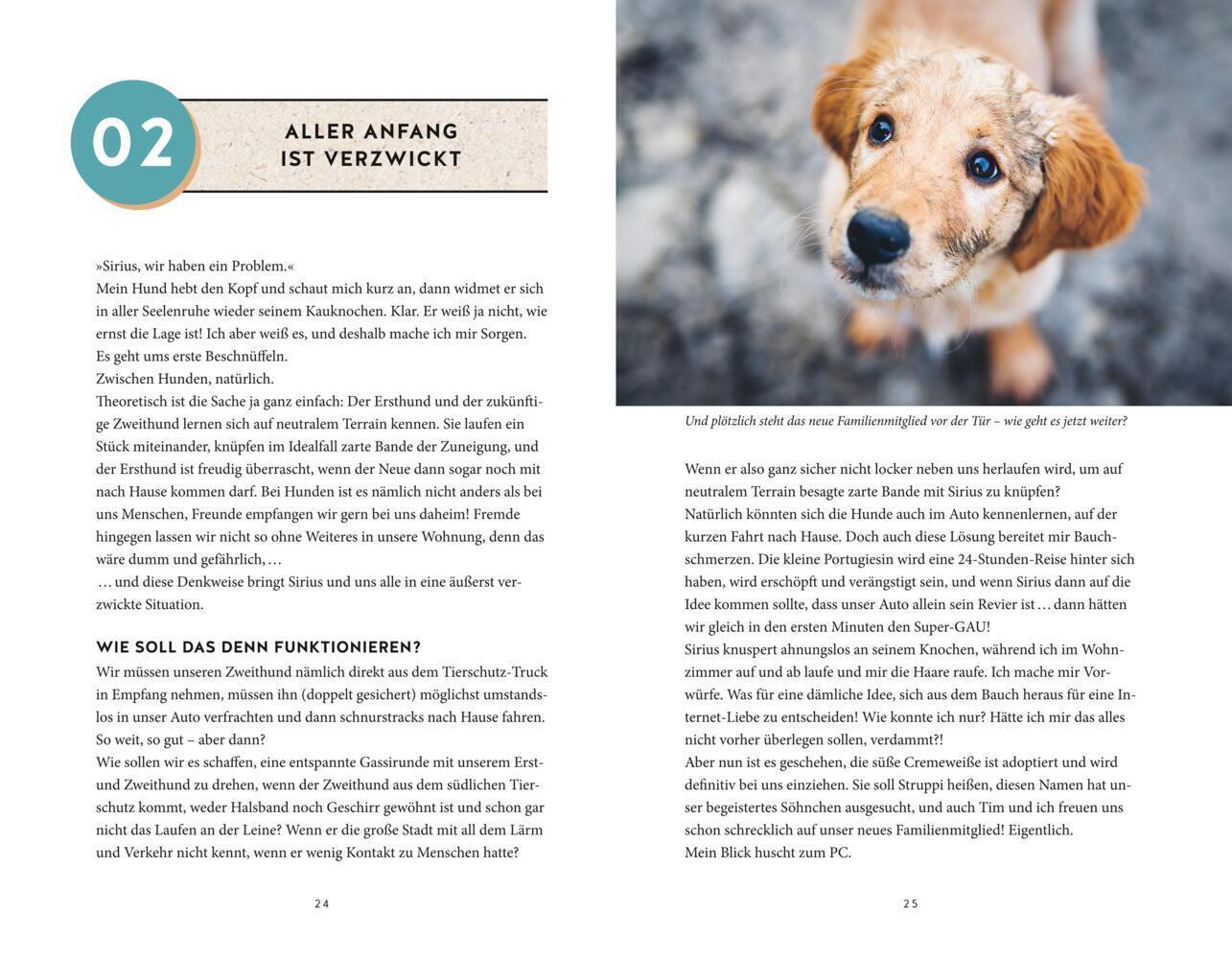 Bild: 9783833878985 | Wahres Hundeglück im Doppelpack | Julie Leuze (u. a.) | Buch | 208 S.