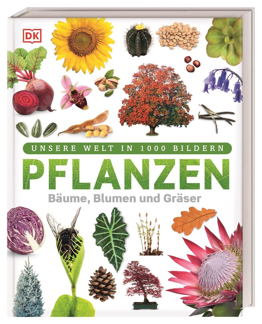 Cover: 9783831039265 | Pflanzen | Bäume, Blumen und Gräser | Sarah Jose | Buch | 192 S.